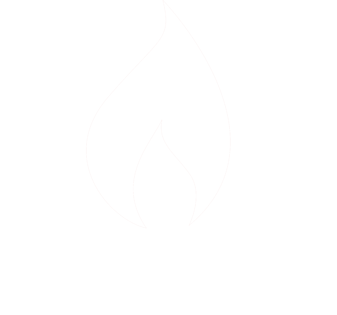 Spicer Academy